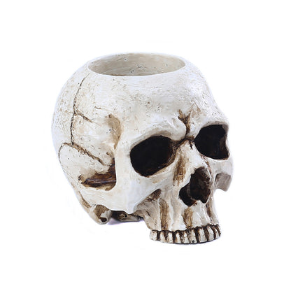 Ossuary Skull Candle Holder, product view 8