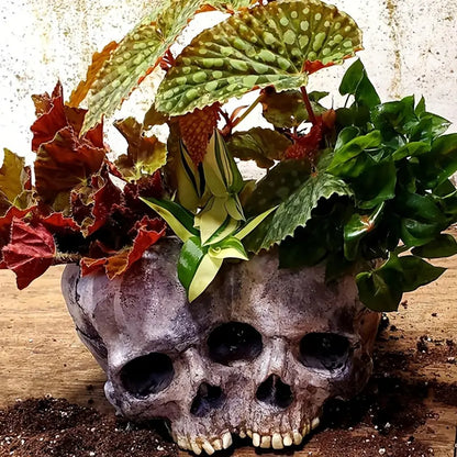 Memento Mori Skull Planter, product view 1