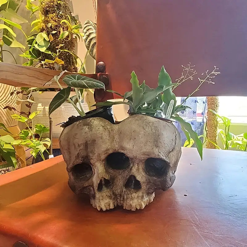Memento Mori Skull Planter, product view 2