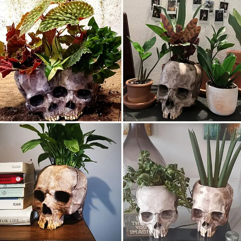 Memento Mori Skull Planter, product view 4