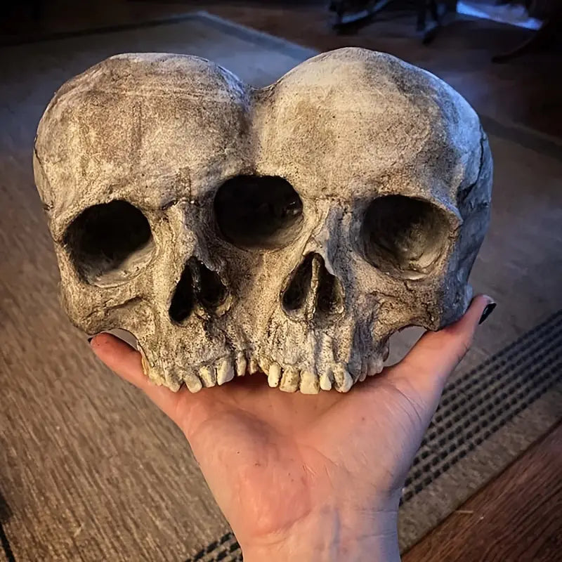 Memento Mori Skull Planter, product view 5