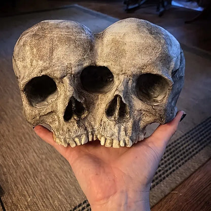 Memento Mori Skull Planter, product view 5