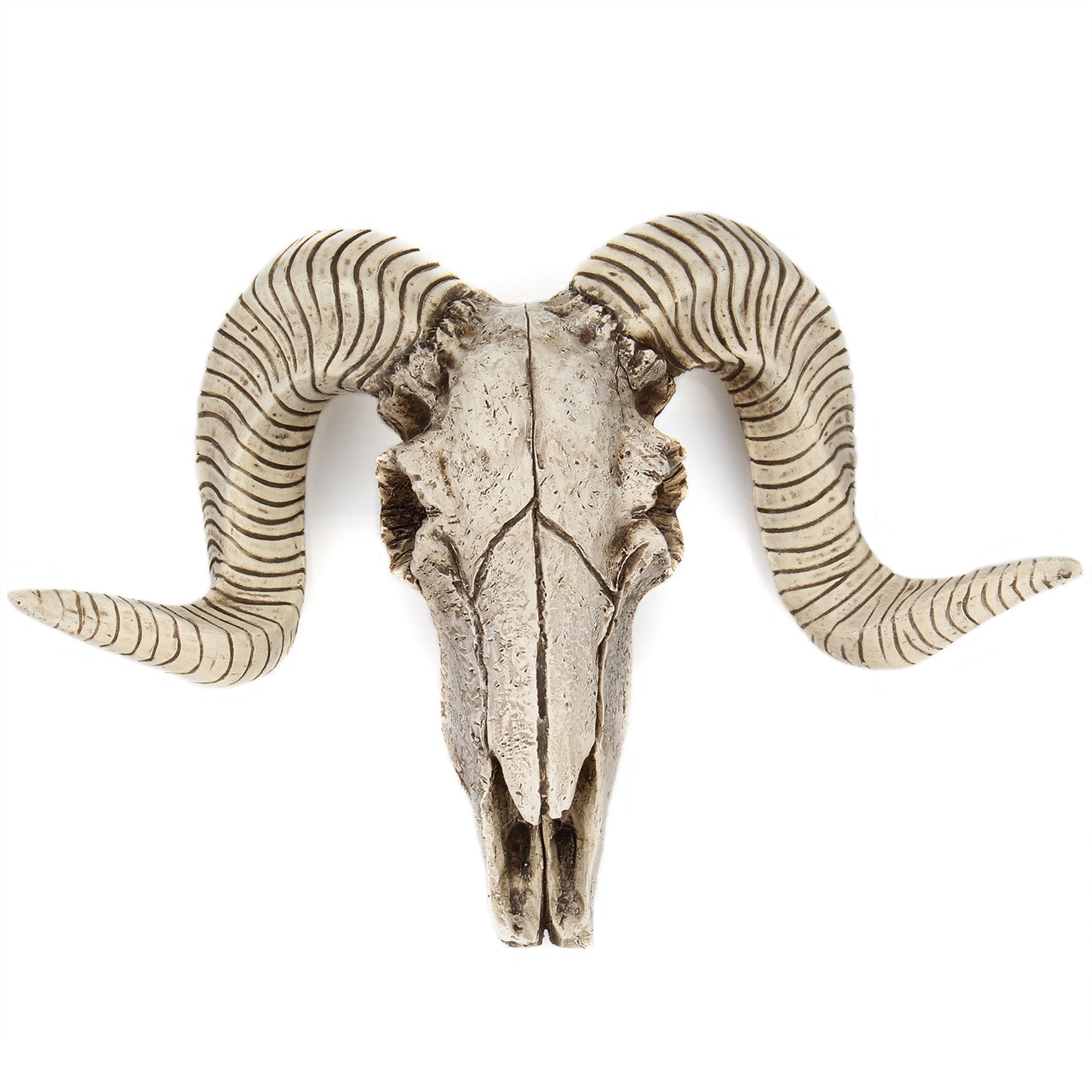 Relic Room Horned-Skull Wall Accent, product view 1
