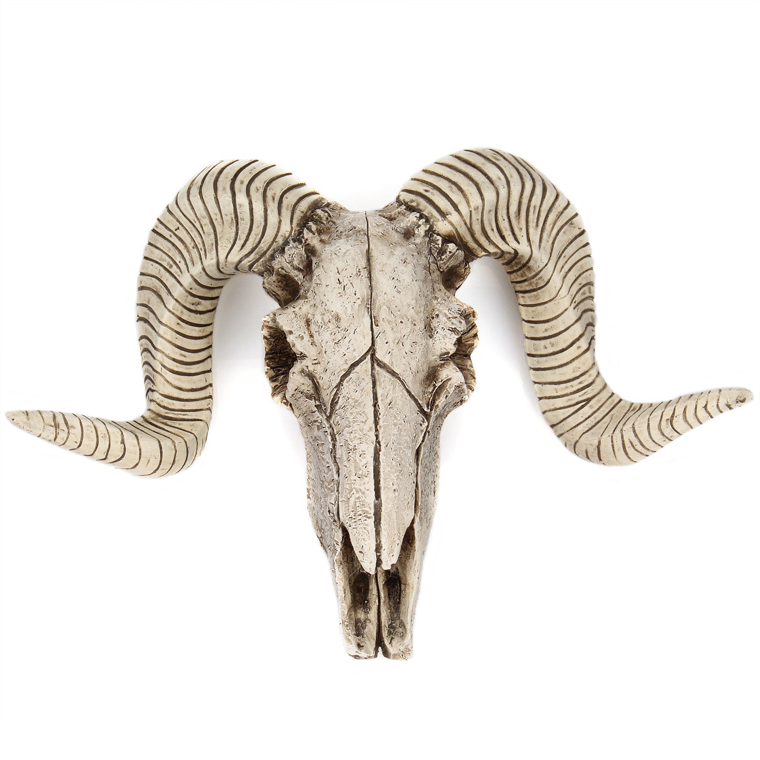 Relic Room Horned-Skull Wall Accent, product view 1
