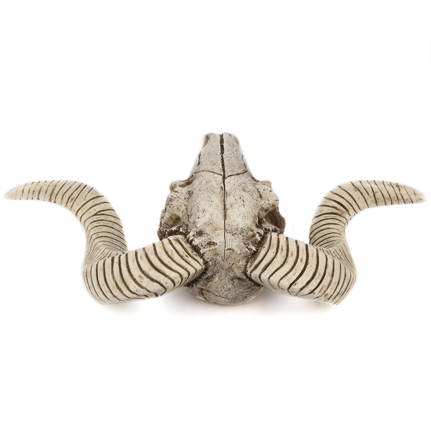 Relic Room Horned-Skull Wall Accent, product view 2