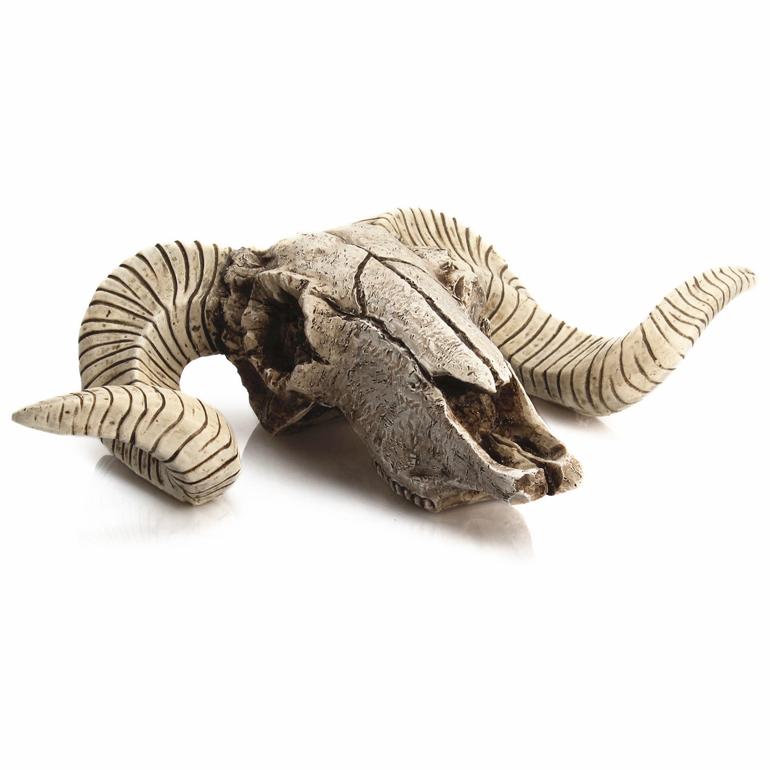 Relic Room Horned-Skull Wall Accent, product view 4