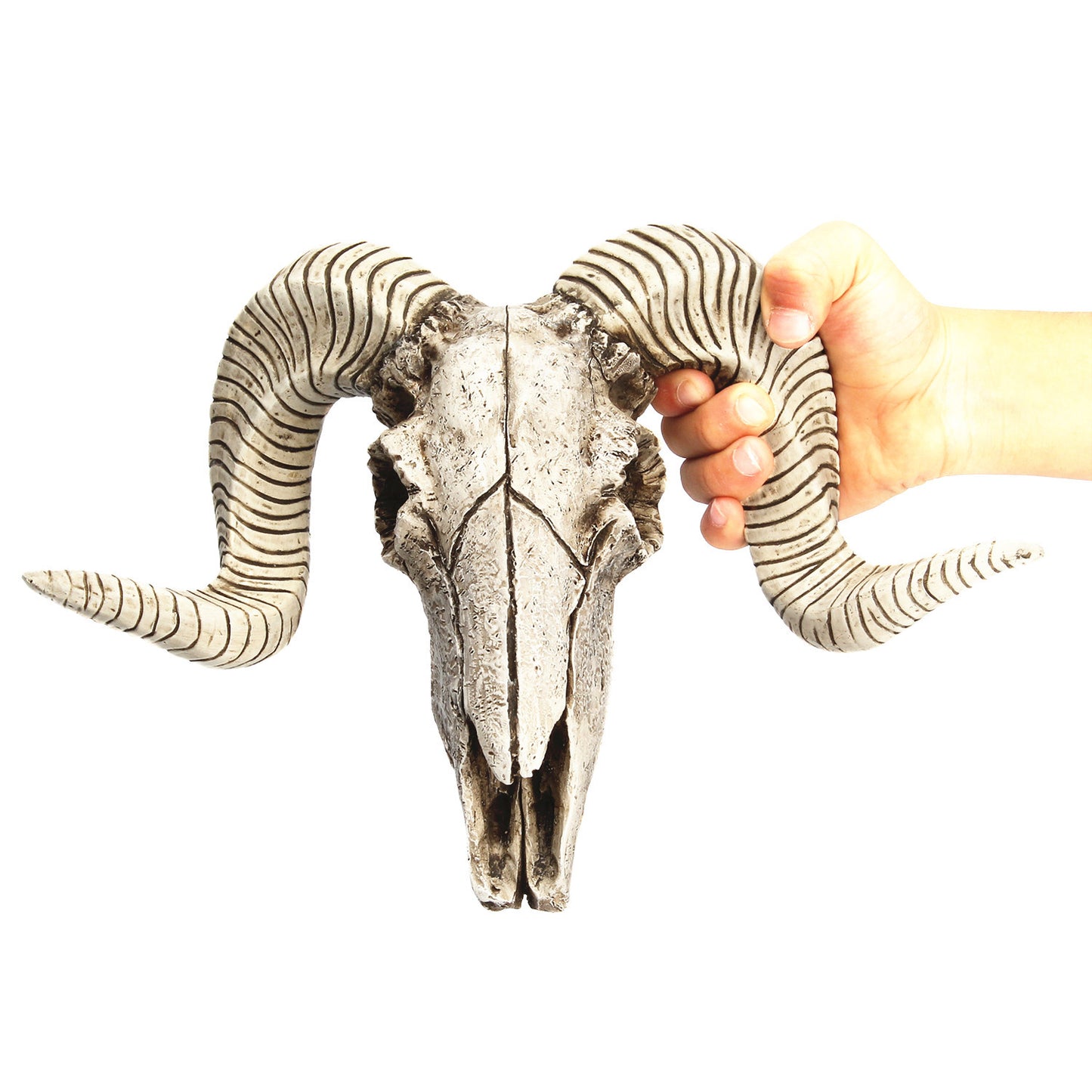 Relic Room Horned-Skull Wall Accent, product view 5